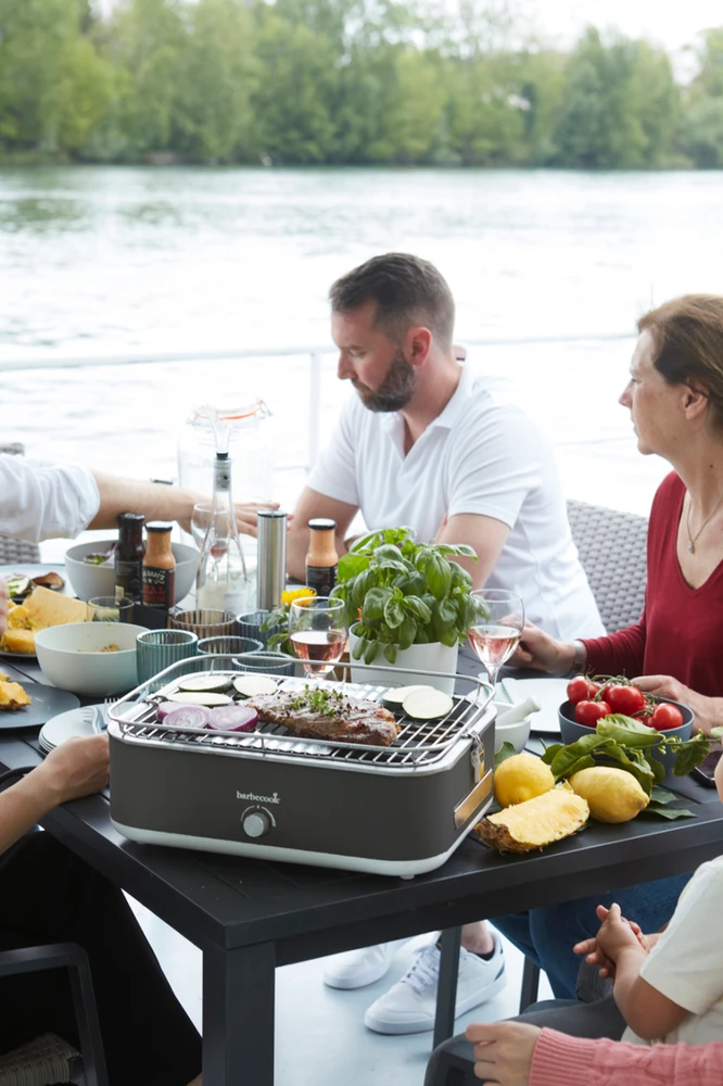 Elektrinis grilis Barbecook E-Carlo, 2500 W, Pilkas