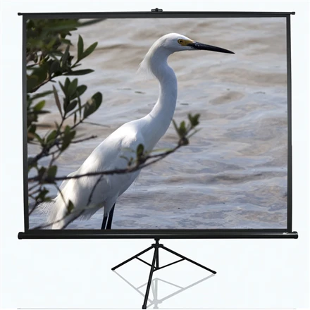 Elite Screens | su stovu Series | T100UWV1 | Įstrižainė 100" | 4:3 | Matomo vaizdo plotis (W) 203 cm | Juodas