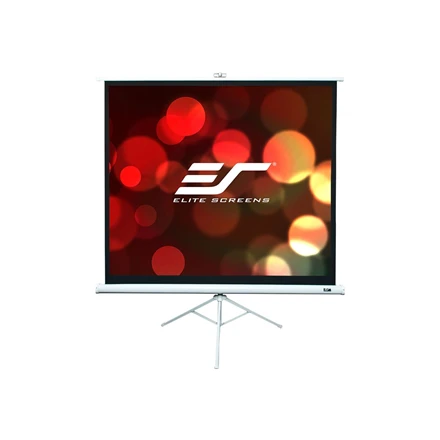 Elite Screens | su stovu Series | T113NWS1 | Įstrižainė 113" | 1:1 | Matomo vaizdo plotis (W) 203 cm | Baltas