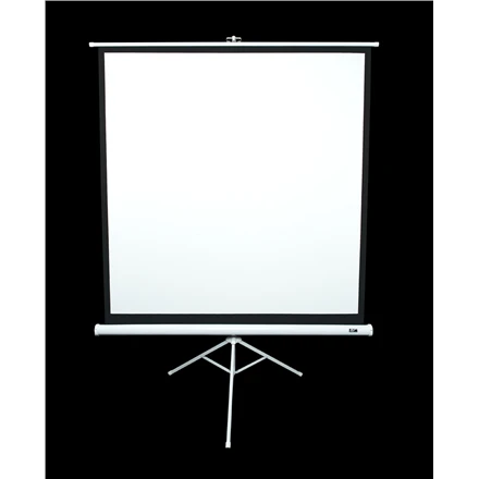 Elite Screens | su stovu Series | T113NWS1 | Įstrižainė 113" | 1:1 | Matomo vaizdo plotis (W) 203 cm | Baltas