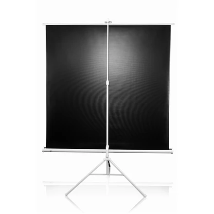 Elite Screens | su stovu Series | T113NWS1 | Įstrižainė 113" | 1:1 | Matomo vaizdo plotis (W) 203 cm | Baltas