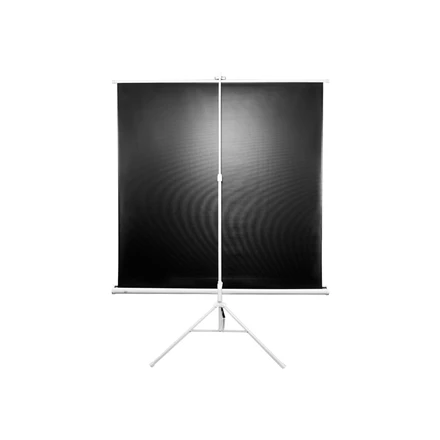 Elite Screens | su stovu Series | T99NWS1 | Įstrižainė 99" | 1:1 | Matomo vaizdo plotis (W) 178 cm | Baltas