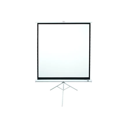 Elite Screens | su stovu Series | T99NWS1 | Įstrižainė 99" | 1:1 | Matomo vaizdo plotis (W) 178 cm | Baltas