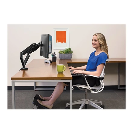 Laikiklis Fellowes | Platinum Series Dual Horizontal Monitorius Arm | 8042501 | Juodas