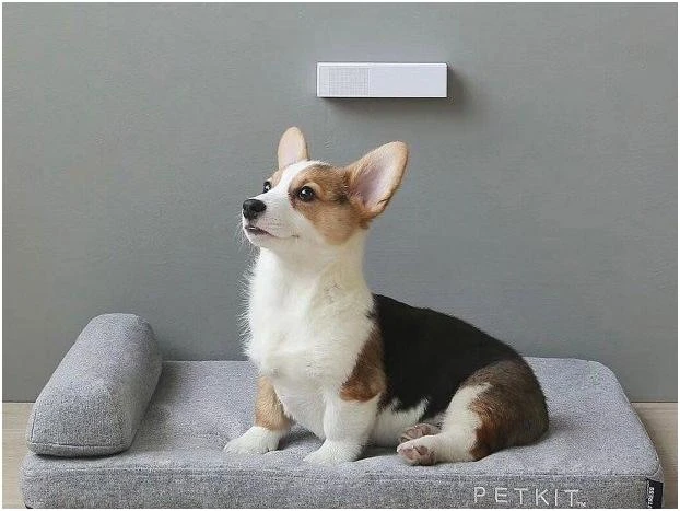 Kvapų neutralizatorius PETKIT PURA Air