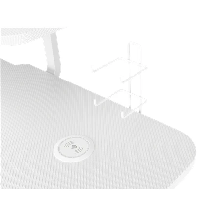 Žaidimų stalas Genesis Holm 320 RGB Gaming Desk, Baltas