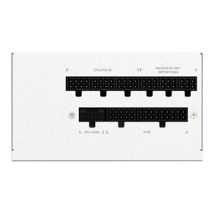 Gigabyte GP-UD850GM PG5 V2 ICE