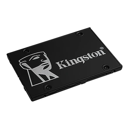 KINGSTON SKC600MS/256GB MSATA