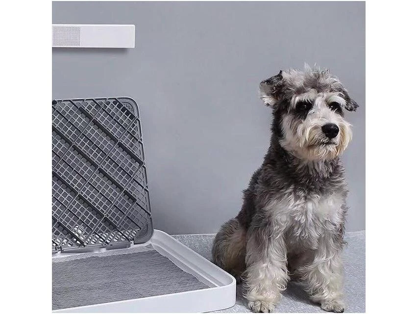Kvapų neutralizatorius PETKIT PURA Air