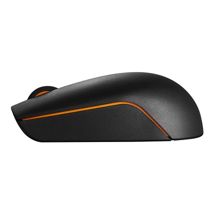 Lenovo | Compact Pelė | 300 | Wireless | Cloud Pilkas