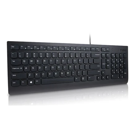 Lenovo | Essential | Essential Klaviatūra su laidu - US Euro | Standard | su laidu | US | 1.8 m | Juodas | su laidu | 570 g