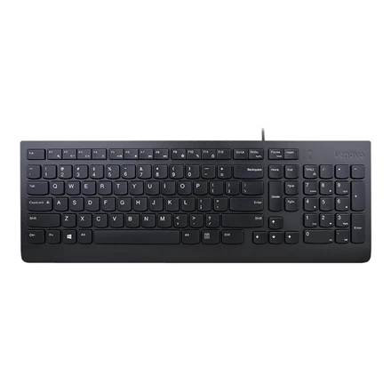 Lenovo | Essential | Essential Klaviatūra su laidu - US Euro | Standard | su laidu | US | 1.8 m | Juodas | su laidu | 570 g