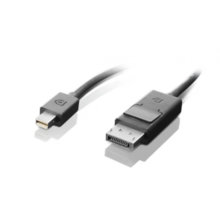 Lenovo | Juodas | mini DisplayPort | DisplayPort | DP to DP | 2 m