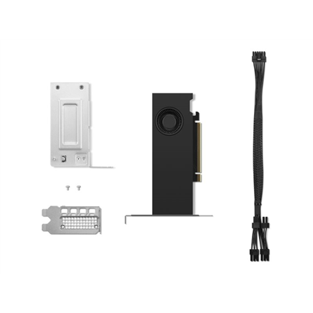 Vaizdo plokštė Lenovo RTX 2000 Ada | NVIDIA | 16 GB | GDDR6 | PCIe 4.0 x 8