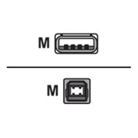 LogiLink Prisijungti | USB 2.0 jungties kabelis | USB-A į USB-B USB A kištukas | USB B vyr