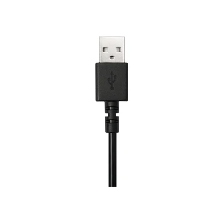 Universalios ausinės Logitech H390, su mikrofonu, USB jungtis