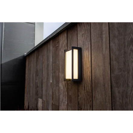 Sieninis šviestuvas LUTEC Qubo 5193001118 Sieninis lauko šviestuvas LED 18 W antracitas