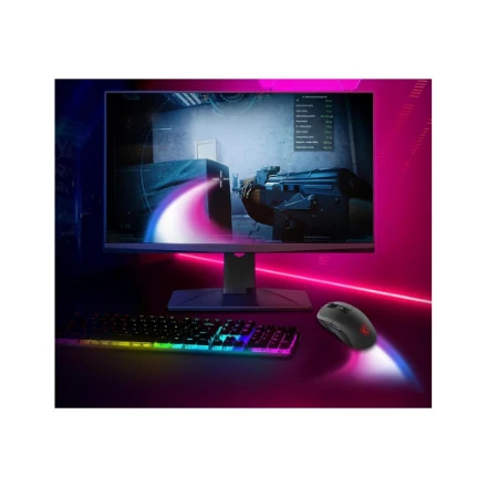 MSI Pelė žaidimams | VERSA 300 ELITE WIRELESS | Wireless | 2.4 GHz, Bluetooth 5.3, USB 2.0