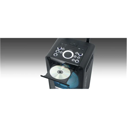 Muse M-1920DJ 300 W nešiojama kolonėlė