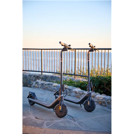 Ninebot by Segway Kickscooter E2 PRO E, Juodas | Segway