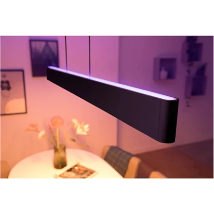 Pakabinamas šviestuvas Philips Hue Ensis pakabukas juodas 79W 24V | 79 W | Baltas ir Color Ambiance 2000-6500K
