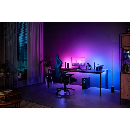 „Philips Hue“ gradientinė kompiuterio šviesos juostelė 24–27 colių | 15 W
