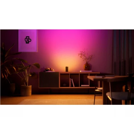 Sieninis šviestuvas Philips HUE Play, Juodas