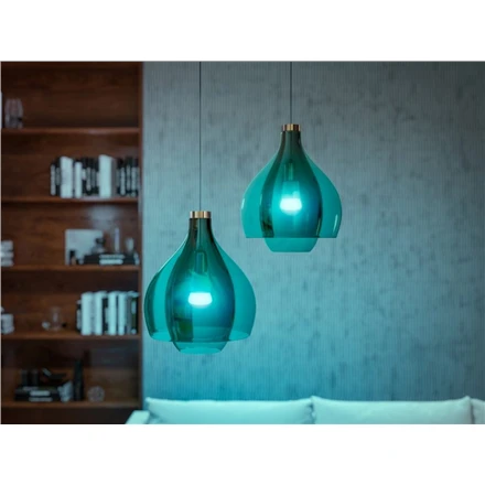 Philips Hue WCA 9W A60 E27