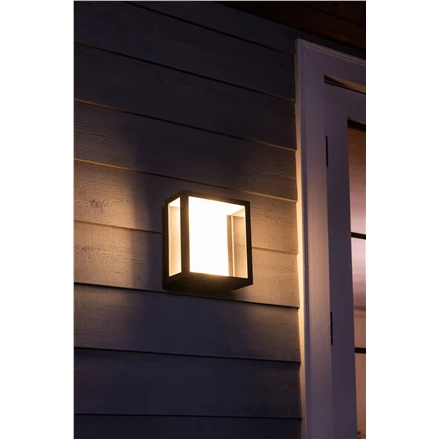Sieninis šviestuvas Philips Hue Baltas and colour ambience „Impress” sieninis lauko šviestuvas
