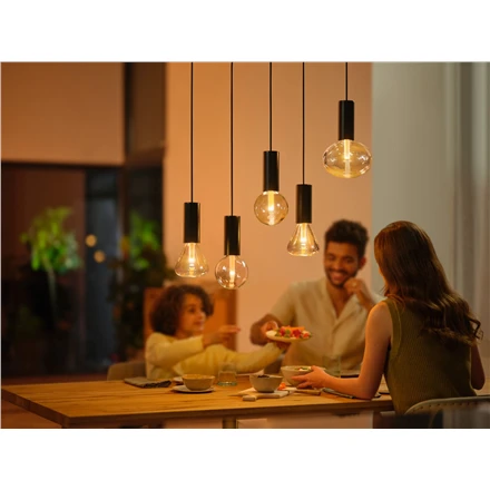 Philips Hue WCA Lightguide G95 | E27 | 6,8 W | Baltas ir spalvota šviesa