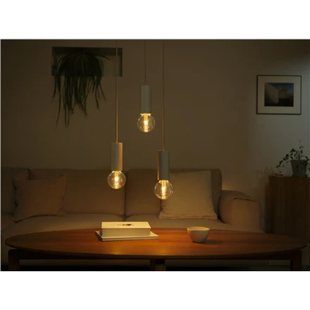 Philips Hue WCA Lightguide G95 | E27 | 6,8 W | Baltas ir spalvota šviesa