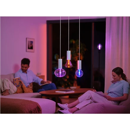 Philips Hue WCA Lightguide G95 | E27 | 6,8 W | Baltas ir spalvota šviesa