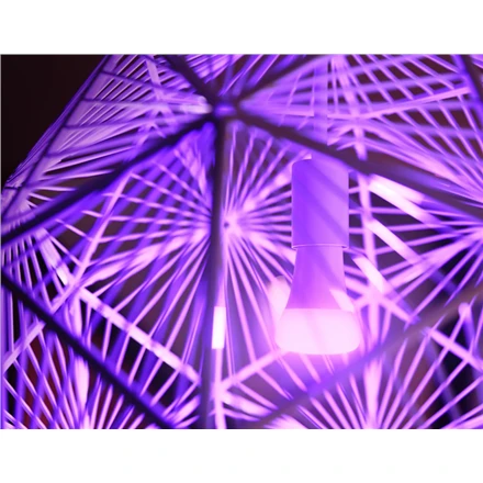 Philips „Hue White and color ambiance“ Pradinis rinkinys: 3 E27 išmaniosios lemputės (1100)