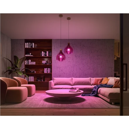 Philips „Hue White and color ambiance“ Pradinis rinkinys: 2 E27 išmaniosios lemputės (1100)