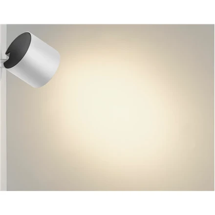 Lubinis šviestuvas Philips Star lubų/sieninis prožektorius 4x
