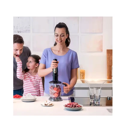 Braun MultiQuick 7 MQ 7045X 1,25 L Panardinamas maišytuvas Juoda, Nerūdijančiojo plieno 1000 W