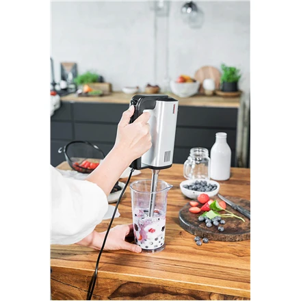 Plakiklis Gastroback Design Hand Mixer Pro 40983 Nerūdijantis plienas/Juodas, Hand mixer, 500 W, Greičių skaičius 5, Shaft material Nerūdijantis plienas, Mini chopper,