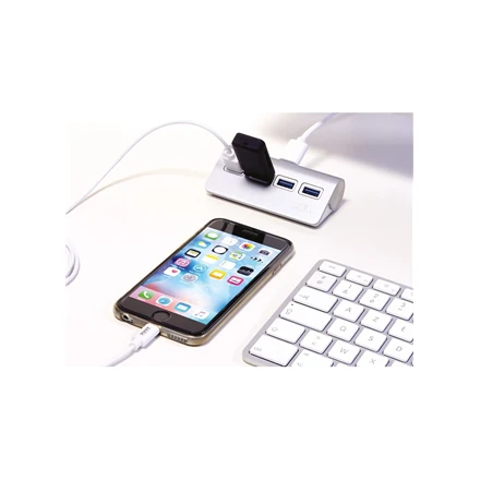 Port Designs PORT CONNECT USB 3.0 HUB 4 jungtys