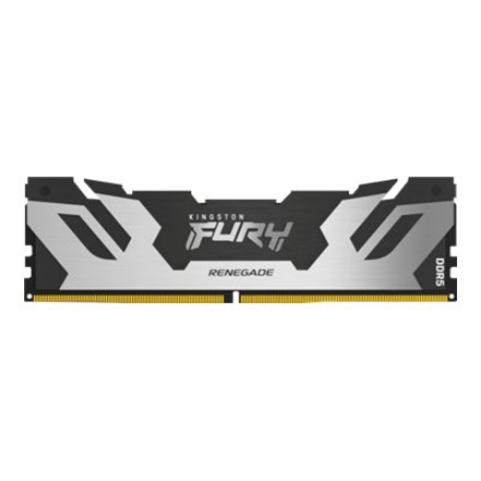 RAM Kingston KF560C32RS-48 48GB 6000MT/s DDR5 CL32 DIMM FURY Renegade Sidabrinis XMP | Kingston
