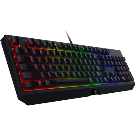 Kompaktiška Žaidimų klaviatūra Razer BlackWidow V3 Tenkeyless, Green Switch, Nordic išdėstymas