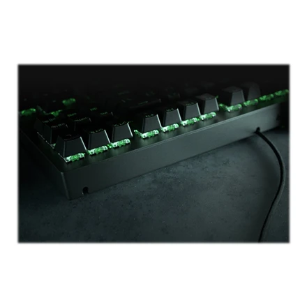 Kompaktiška Žaidimų klaviatūra Razer BlackWidow V3 Tenkeyless, Green Switch, Nordic išdėstymas