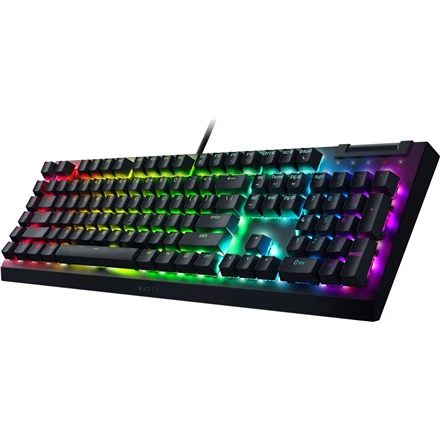 Razer | BlackWidow V4 X | Mechaninė klaviatūra žaidimams | su laidu | Nordic | Žalias Mechaninė Switches