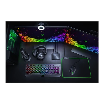 Razer | Žaidimų srauto ir fiksavimo kortelė, skirta asmeniniam kompiuteriui, „Playstation“, „XBox“ ir „Switch“ | Ripsaw Game Capture Card | Tik USB 3.0