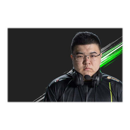 Esports THX Spatial Audio Žaidimų Ausinės Razer BlackShark V2 + USB garso plokštė, Juodos