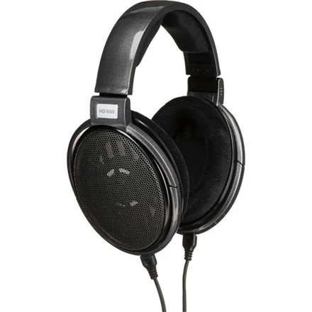 Audiofilinės Ausinės Sennheiser HD 650