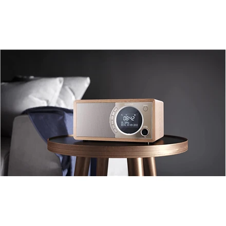 Sharp DR-450(BR) radijo imtuvas Laikrodis Ruda