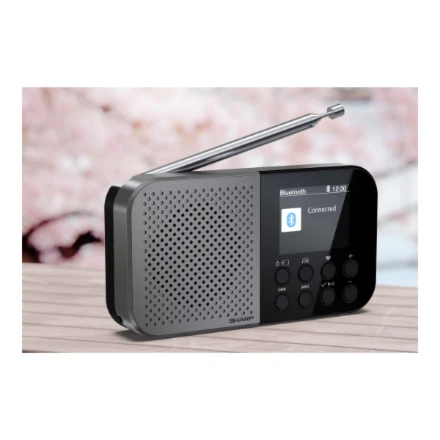 „Sharp OSAKA“ kišeninis / rankinis nešiojamas skaitmeninis radijas | DR-P520(GY) | „Bluetooth“