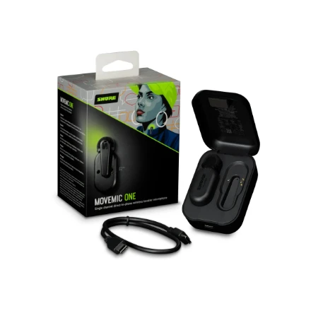 Shure Vėliau