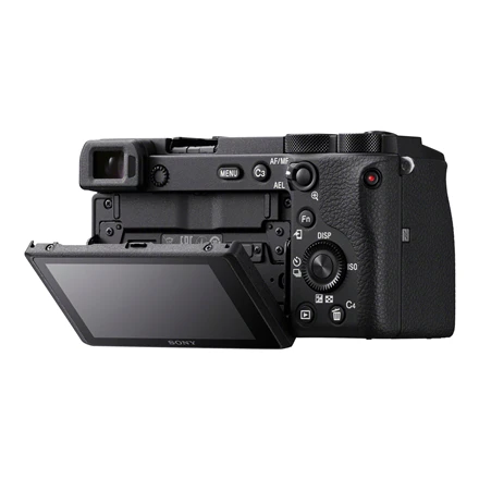 Sony A6600