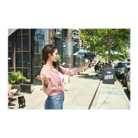 Sony A6600
